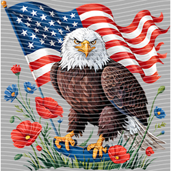 USA-MG 3572